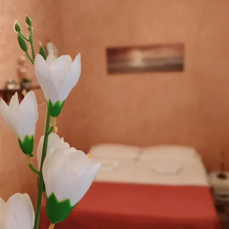 Hébergement de vacances Ruggero House *