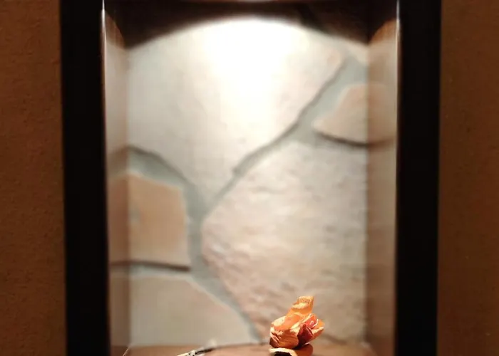 Hébergement de vacances Ruggero House *