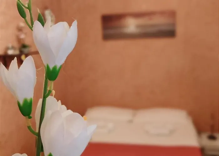 Hébergement de vacances Ruggero House *